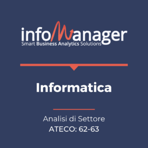 Analisi economico-finanziaria del settore "Informatica"