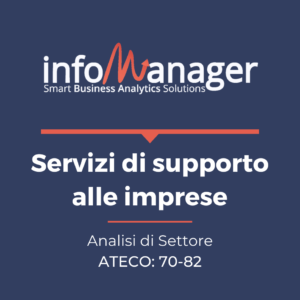 Analisi economico-finanziaria del settore "Servizi di supporto alle imprese"